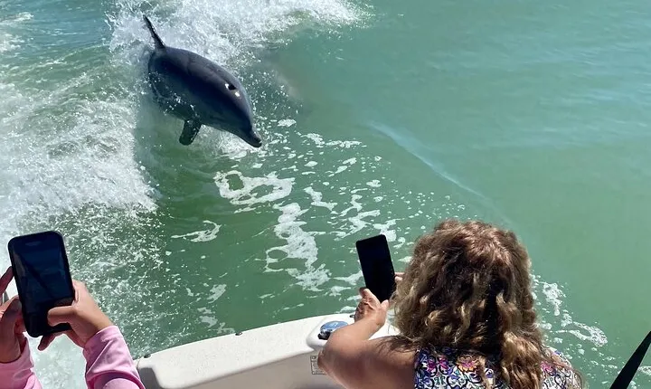 Private Shelling and Dolphin Excursion