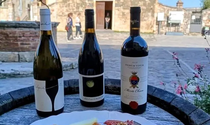 Light Lunch and Wine at the Monteriggioni Castle