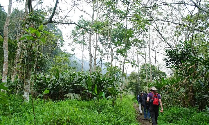 1-day Explore Cuc Phuong National Park from Hanoi