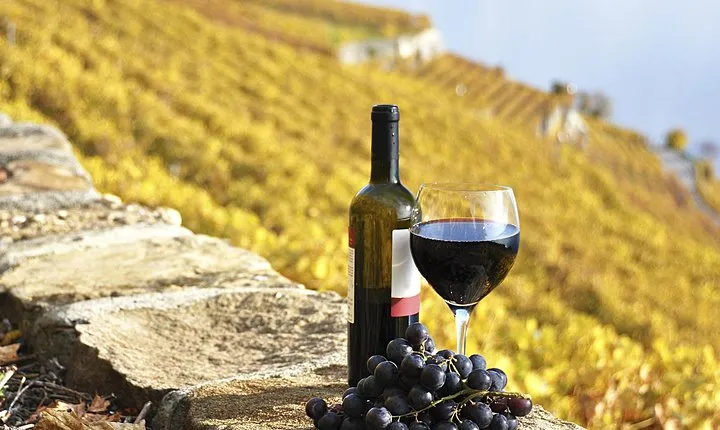 HALF-DAY Tour to Chianti Wine Region: CHIANTI COLORS & FLAVORS