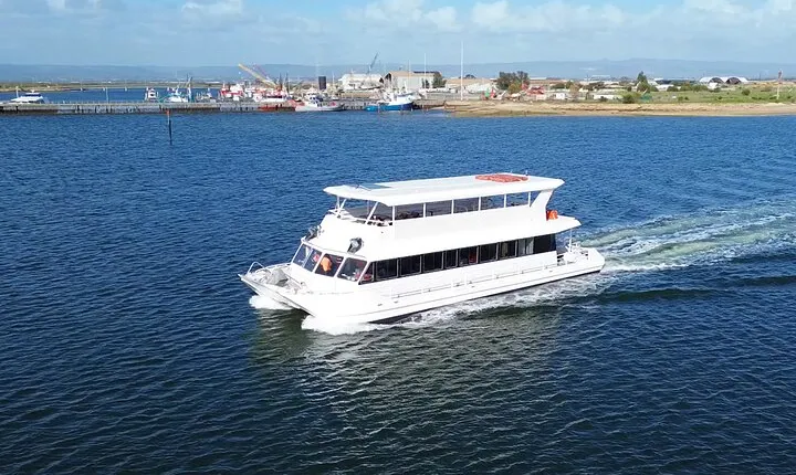 2-Hour Dolphin and Maritime Cruise in Port Adelaide