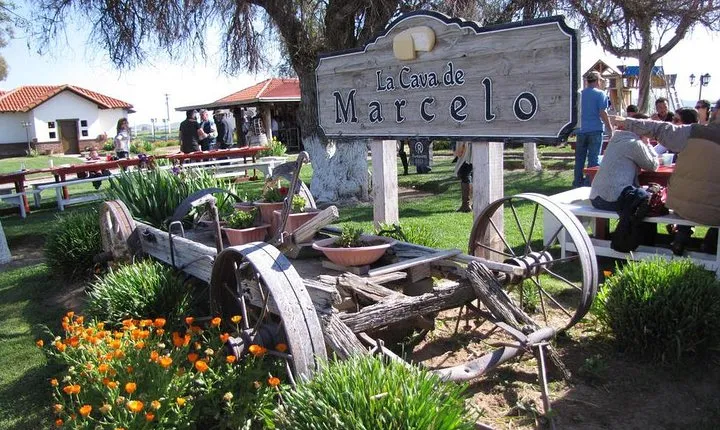 Ojos Negros Valley Wine and Cheese Route Tour in Baja California