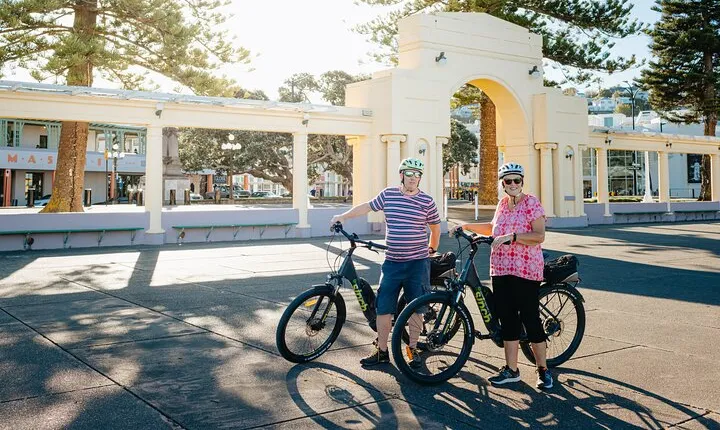 Napier E-bike Hire