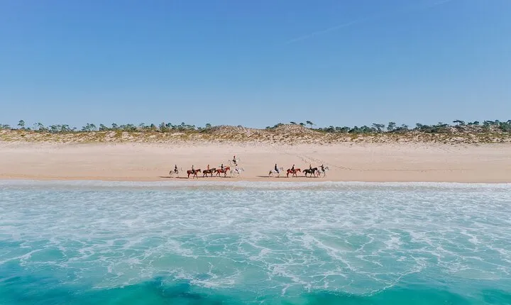 Horse Riding on the Beach with private transfer from Lisbon