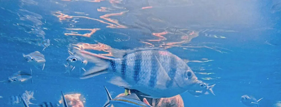 Koh Chang 3 islands snorkelling and fun fishing experience