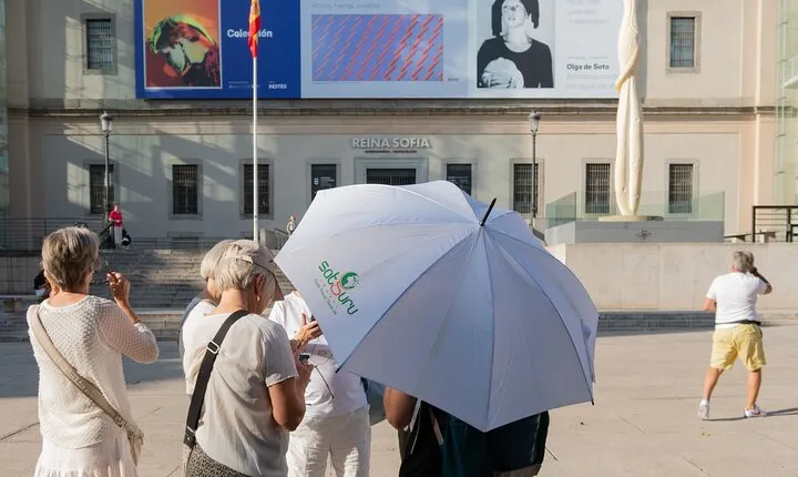 Culture Unveiled: Reina Sofía Guided Tour