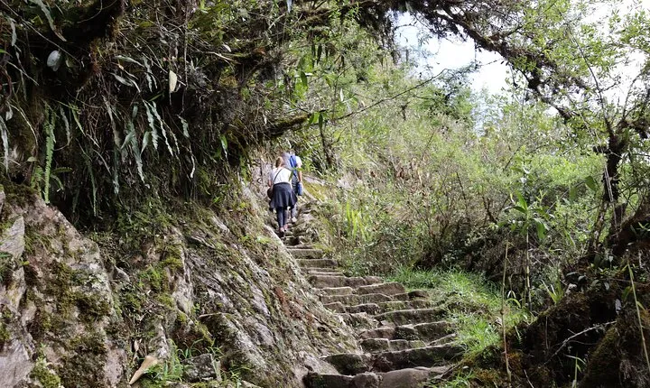 Short Inca Trail To Machu Picchu 2 Days and 1 Night