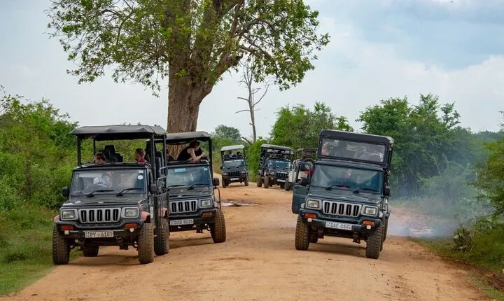04 day Sri Lanka Beach, Wildlife Tour & Colombo city tour