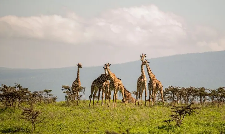 4 Days Private Budget Camping Tour