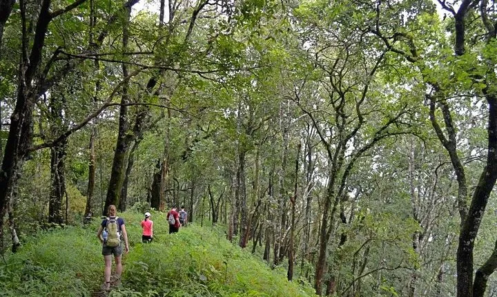 High Mountain Day Trek