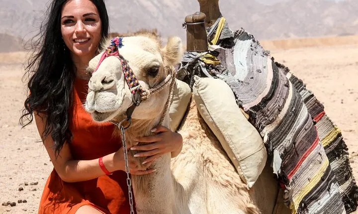 Camel Ride A Unique Adventure Awaits You - Sharm El Sheikh