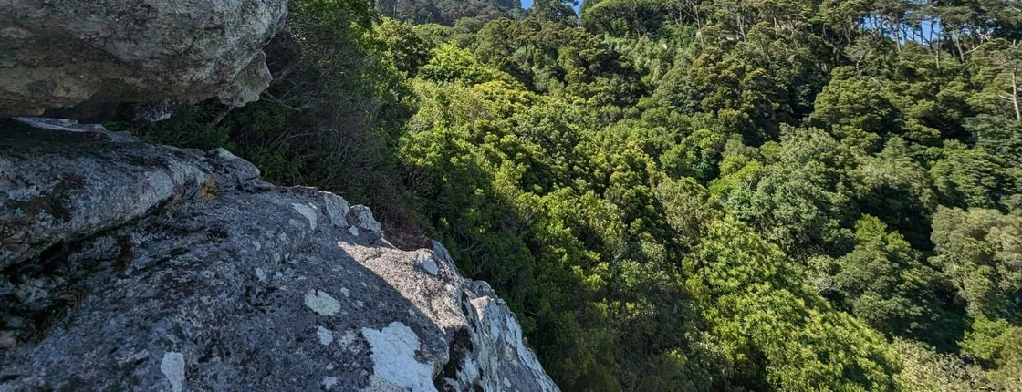 Sintra climbing tour with visit to the Palacio da Pena