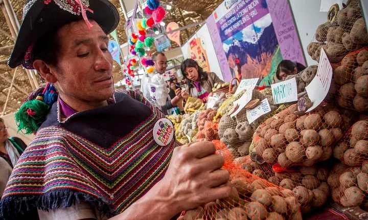Peruvian Home Cooking Class in Cusco