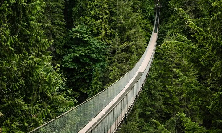 Vancouver's Finest Private Sightseeing Tour