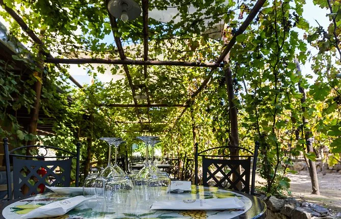 Typical Neapolitan lunch + Wine tasting & Tour of the vineyards