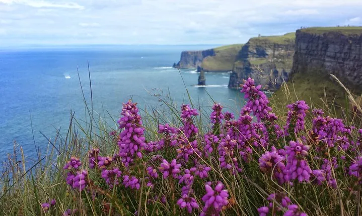 Private Day Tour Cliffs of Moher from Dublin