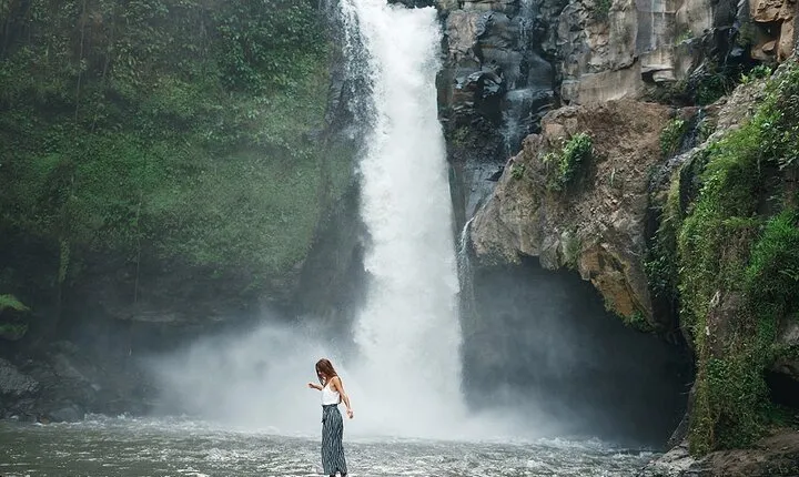 UBUD : Temple and Waterfall All Inclusive Day Tour