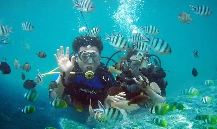 Scuba Diving - Parasailing - Banana Boat - All Inclusive with Hotel Transfer