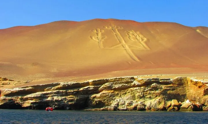 From Huacachina Ballestas Island Tour and Paracas Reserve