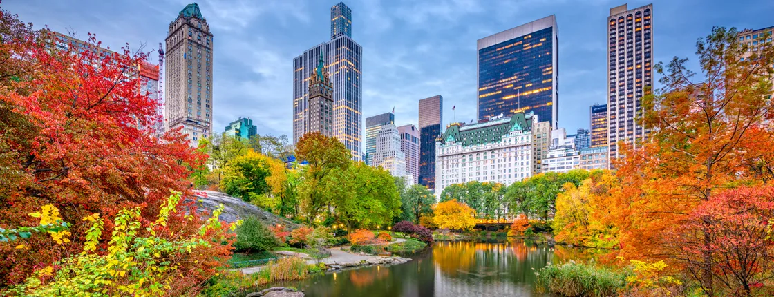 Private Central Park walking tour