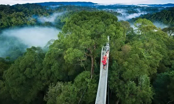 Full Day Trip of Brunei Ulu Temburong National Park including Canopy Walk