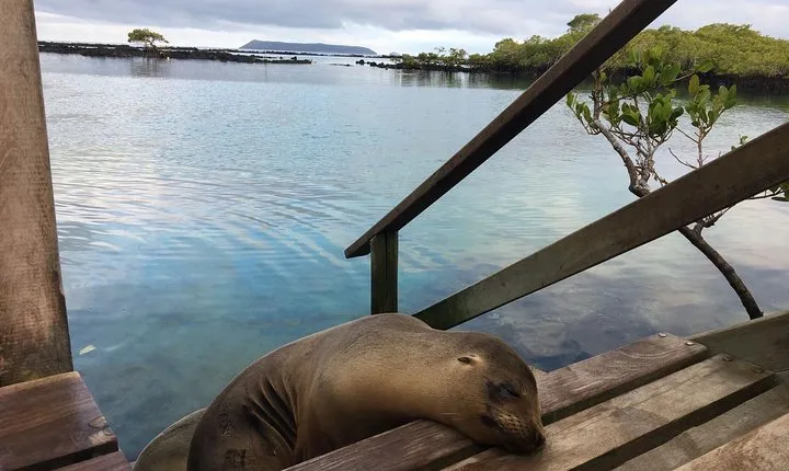 6-Day Galapagos Island Hopping: Kayaking, Mountain Biking and Volcano Hike