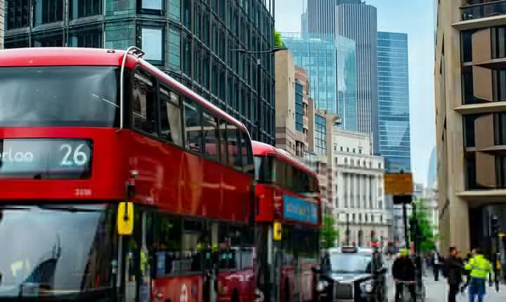 London Fully Tailored Private Tour: Half-Day with Local Guide