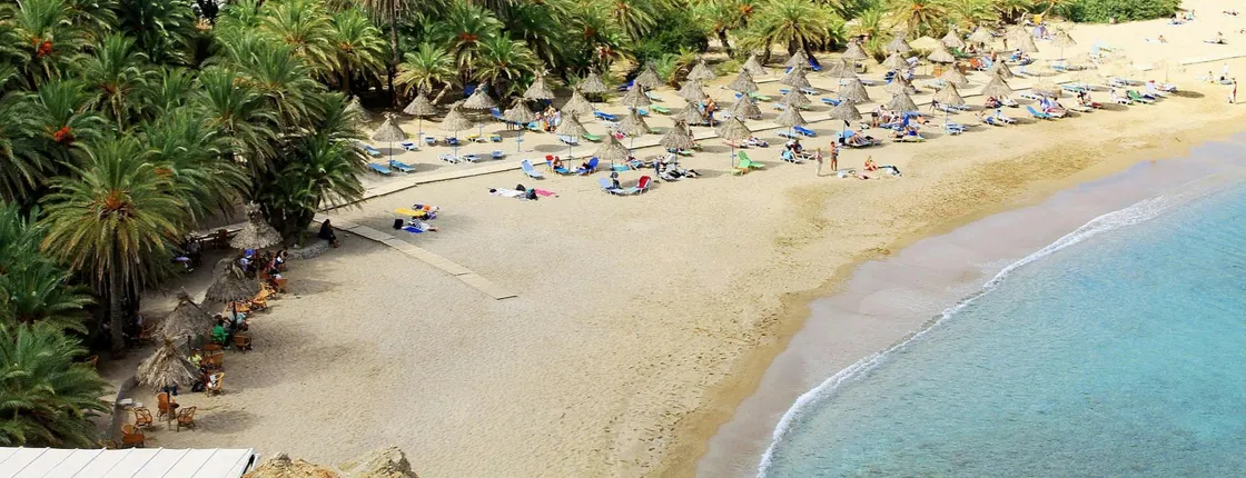 Sitia and Vai Palm Beach Tour from Southern Crete
