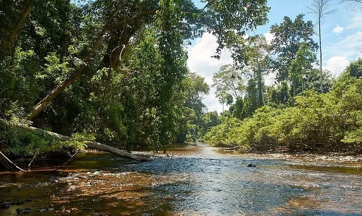 2D1N Taman Negara Explorer Tour from Kuala Lumpur