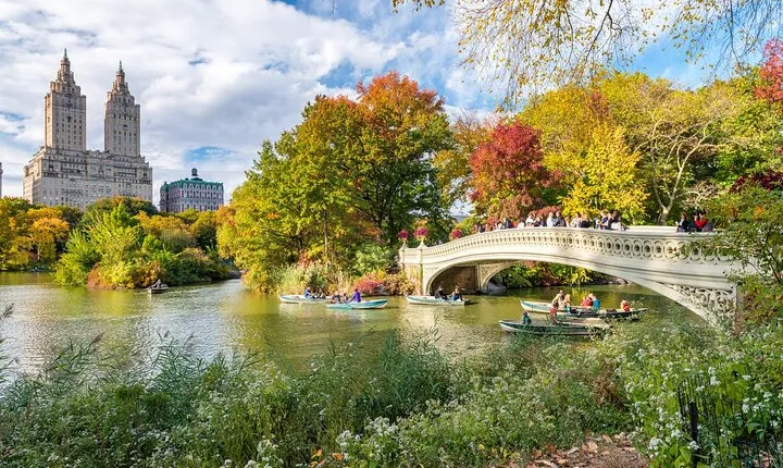 Central Park Private Walking Tour with Transfers