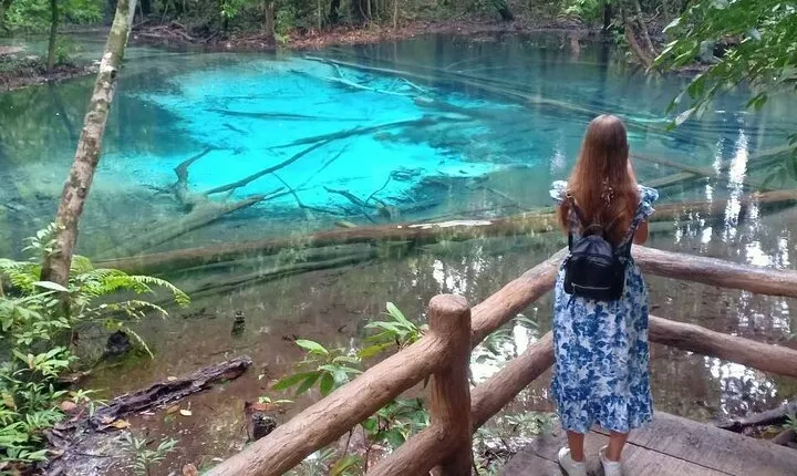 Discover Krabi - Emerald Pool, Hot Springs & Tiger Cave Temple