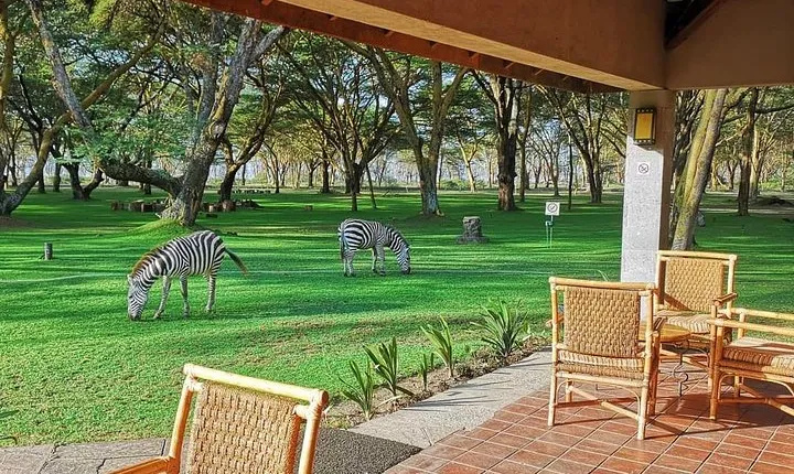 Masai Mara/ Lake Nakuru/ Lake Naivasha/ Amboseli 7 Days Safari