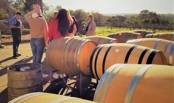 Secret Delights: Wine, Coffee, Artisan and Forest Tour