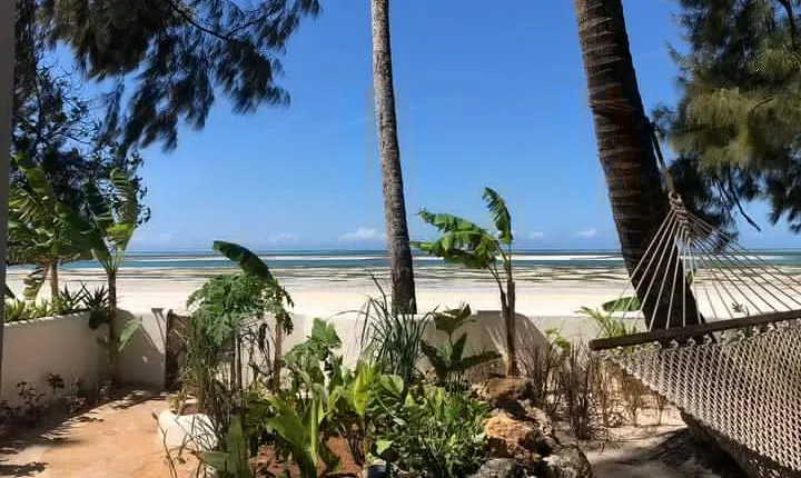 6 Day Selous Game reserve and Kilwa Beach+Snorkeling+Boat safari+Historical site