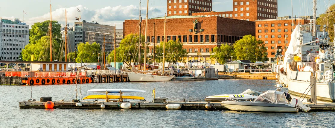 Private half-day Oslo sightseeing tour