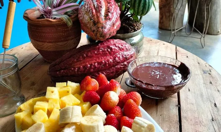 Cocoa and Chocolate Tour in San Rafael from Medellín