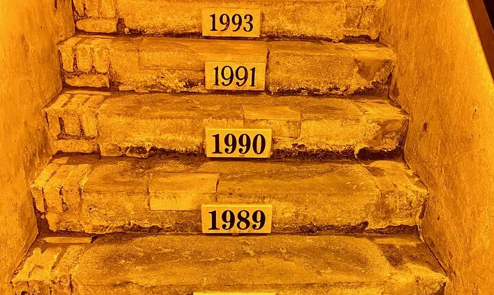 DeLuxe Veuve Clicquot Ruinart Champagne Cellars & Tastings trip