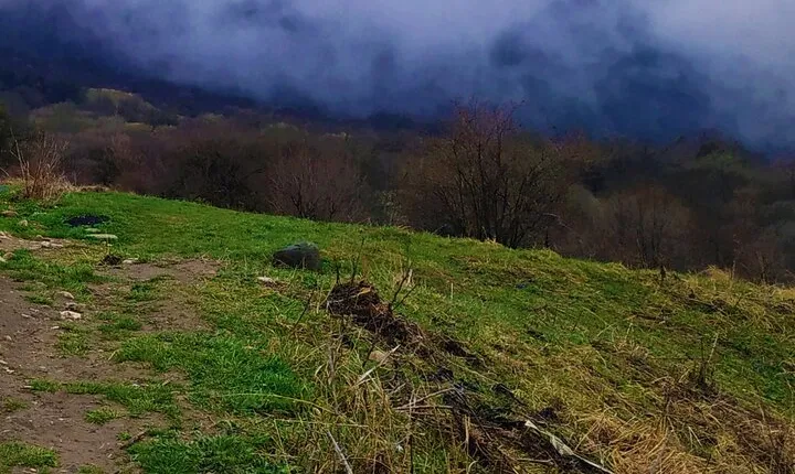 Telavi Tour from Tbilisi with Gombori Pass, Tsinandali Estate and Old Churches