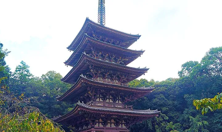 Kyoto: Daigo-ji Temple, Hidden Treasure of History & Beauty