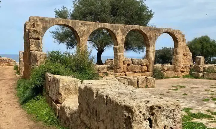Private Day Tour to the Roman Ruins of Tipaza