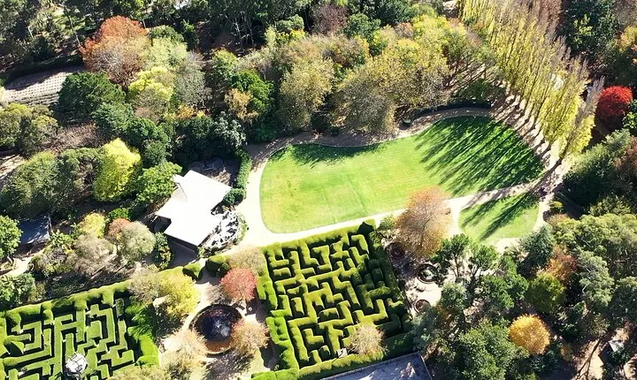 Ashcombe Maze & Lavender Gardens