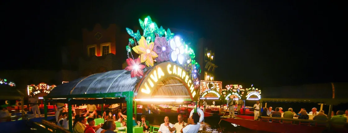 Xoximilco cruise with dinner entrance ticket only, no transportation included