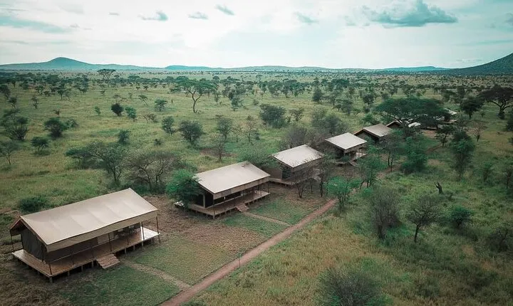 3 days fly in safari