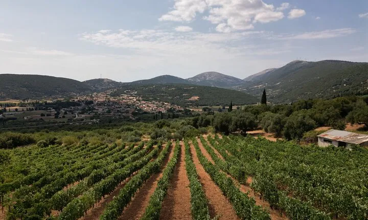 Kefalonia Wine Tour