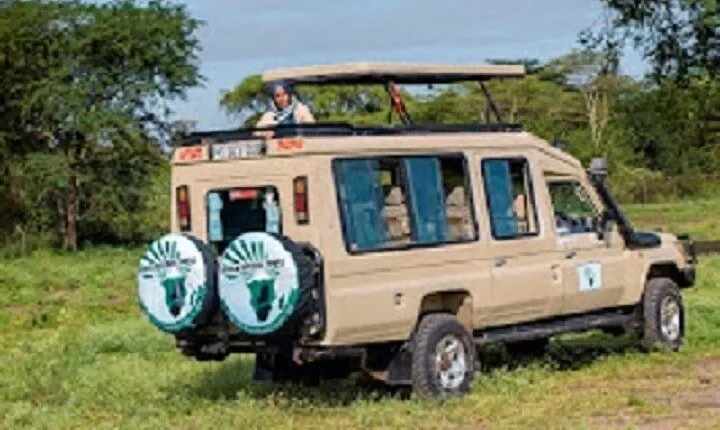 The World's Best 1 Day Tarangire Budget Group Safari From Arusha