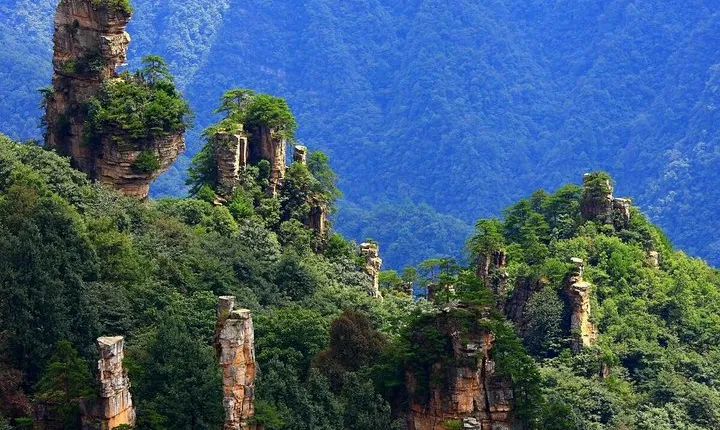 Zhangjiajie National Forest Park Day Tour Including Lunch