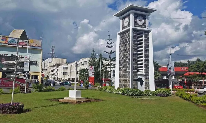 Guided Arusha Town Tour with Private Transportation