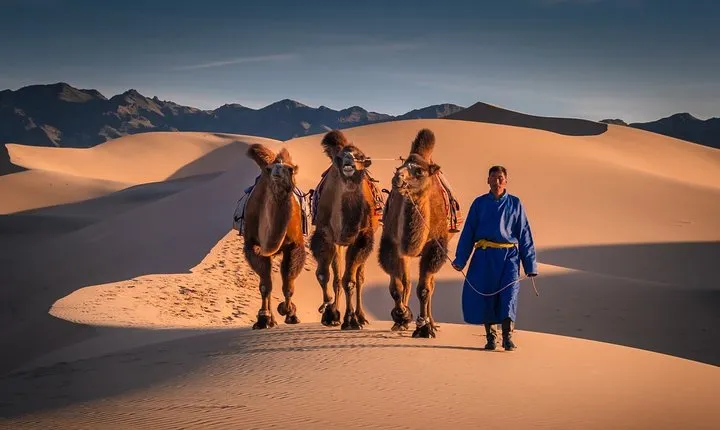 Great Gobi Desert and Ancient Mongolia 12 days