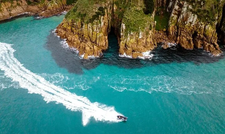 Explore Phillip Island from Melbourne with Penguin Parade