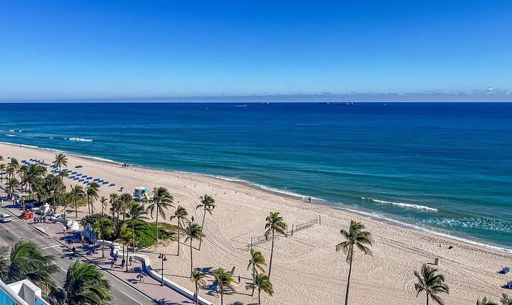 Miami Private Sightseeing Trip with Daily Chauffeur